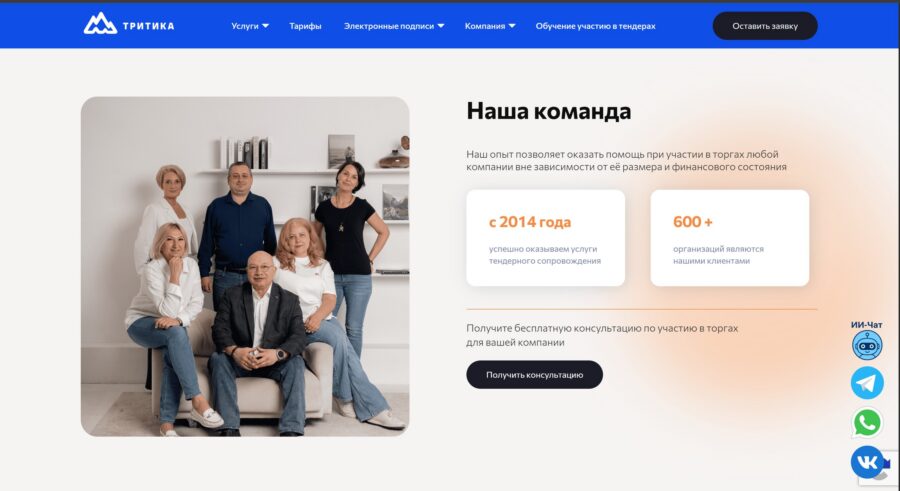 Tritika — Elementor to Custom WordPress Rebuild